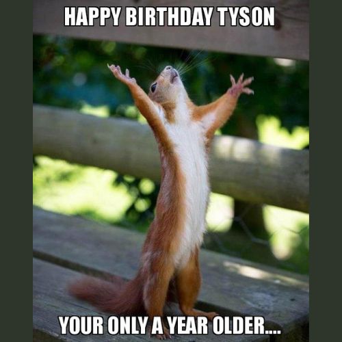 Happy Birthday Tyson Memes