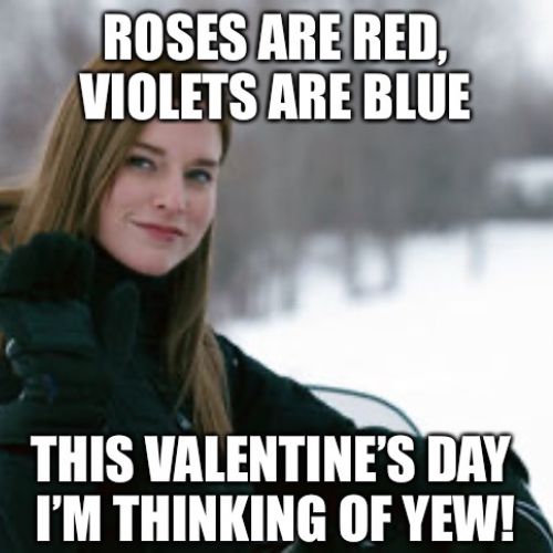 hilarious funny valentines day memes