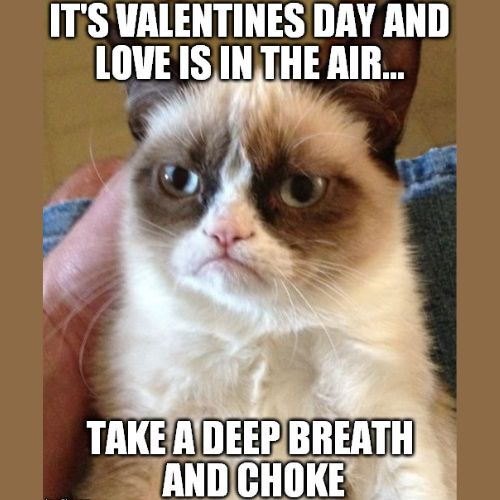 valentines day grumpy cat memes