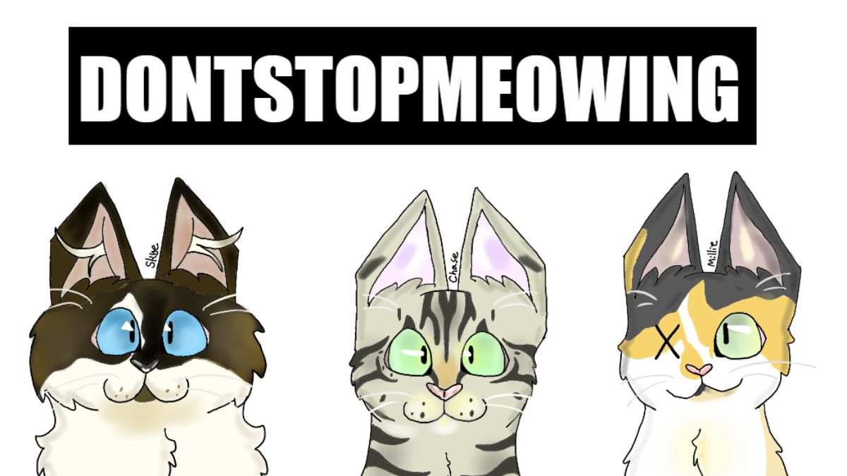 DontStopMeowing – Net Worth, Income & Estimated Earnings