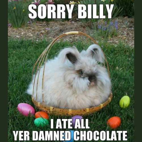 Easter Bunny Memes 2023