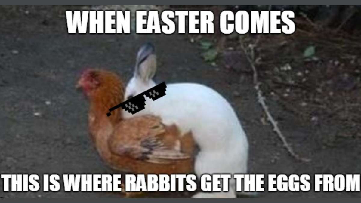 Easter Egg Memes, Easter Egg Hunt Memes