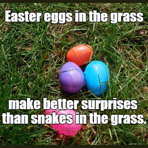 Easter Egg Memes 2023