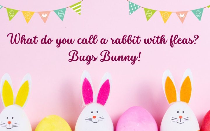 50+ Funniest Easter Jokes for Adults for Endless Giggling